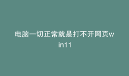 电脑一切正常就是打不开网页win11