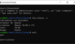 [ASP.NET Core 3框架揭秘] 跨平台开发体验: Linux