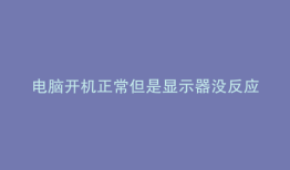电脑开机正常但是显示器没反应