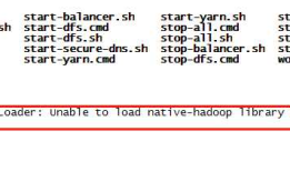 Hadoop问题解决：WARN util.NativeCodeLoader: Unable to load native-hadoop library for your platform... using builtin-java classes where applicable