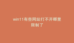 win11有些网站打不开哪里限制了
