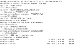 【Application】Docker DockerFile解析（五）