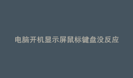 电脑开机显示屏鼠标键盘没反应