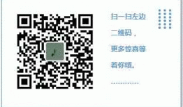 【公众号系列】过个春节，手机被应用了