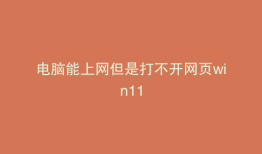 电脑能上网但是打不开网页win11