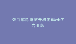 强制解除电脑开机密码win7专业版