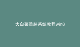 大白菜重装系统教程win8