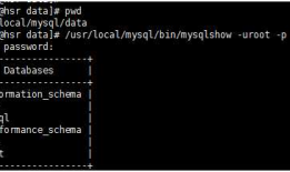 mysql 开发进阶篇系列 36 工具篇mysqlshow(数据库对象查看工具)