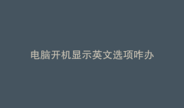 电脑开机显示英文选项咋办