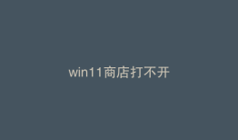 win11商店打不开