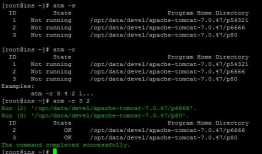 Apache Tomcat Manager 1.0