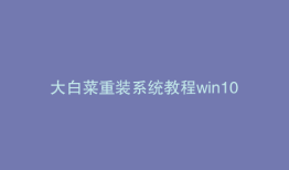 大白菜重装系统教程win10