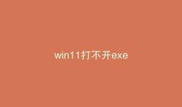 win11打不开exe