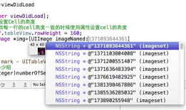 iOS开发UI篇—推荐两个好用的Xcode插件（提供下载链接）