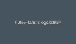 电脑开机显示logo就黑屏