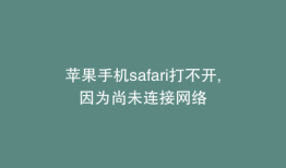 苹果手机safari打不开,因为尚未连接网络