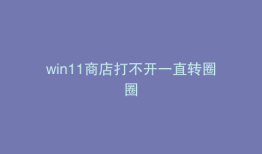 win11商店打不开一直转圈圈