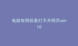 电脑有网但是打不开网页win10