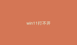 win11打不开