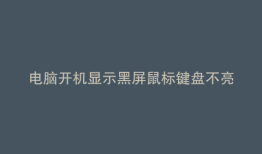 电脑开机显示黑屏鼠标键盘不亮