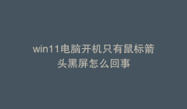 win11电脑开机只有鼠标箭头黑屏怎么回事