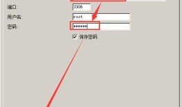 在navicat中如何新建连接数据库