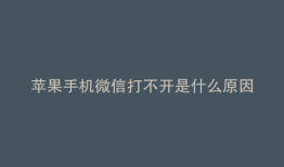 苹果手机微信打不开是什么原因