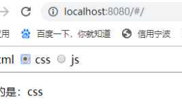 Vue.js 表单