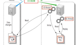MySql数据库实现分布式的主从结构