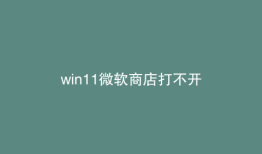 win11微软商店打不开
