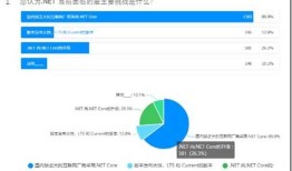 2020 年 中国.NET开发者调查报告