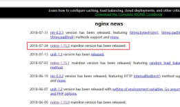 Nginx Windows详细教程