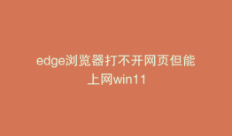 edge浏览器打不开网页但能上网win11