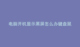 电脑开机显示黑屏怎么办键盘鼠标不亮