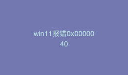 win11报错0x0000040