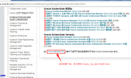 『OGG 02』Win7 配置 Oracle GoldenGate Adapter Java 踩坑指南