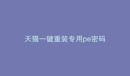 天猫一键重装专用pe密码