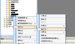SQL Server 2008数据库备份和还原（还原是必须有完整备份）