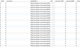 MySQL "tinyInt1isBit or tinyint(1)" 相关问题解析