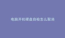 电脑开机硬盘自检怎么取消