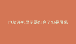 电脑开机显示器灯亮了但是屏幕是黑色不出画面