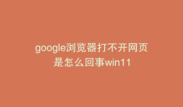 google浏览器打不开网页是怎么回事win11