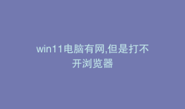 win11电脑有网,但是打不开浏览器