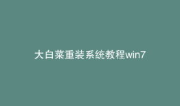 大白菜重装系统教程win7