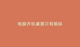 电脑开机桌面只有鼠标