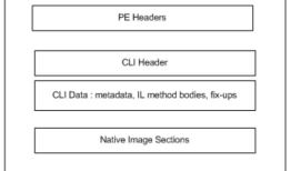 .NET Assembly File Format
