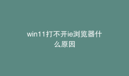 win11打不开ie浏览器什么原因