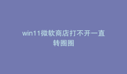 win11微软商店打不开一直转圈圈