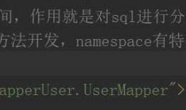 第二节 Mapper代理开发模式