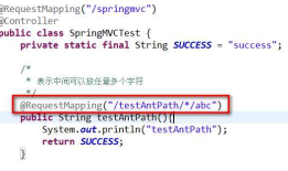 RequestMapping_Ant 路径